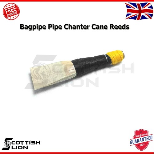 Great highland scottish - highland,