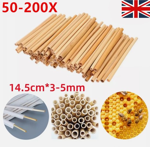 200pcs honeycomb reed - 50-200pcs,